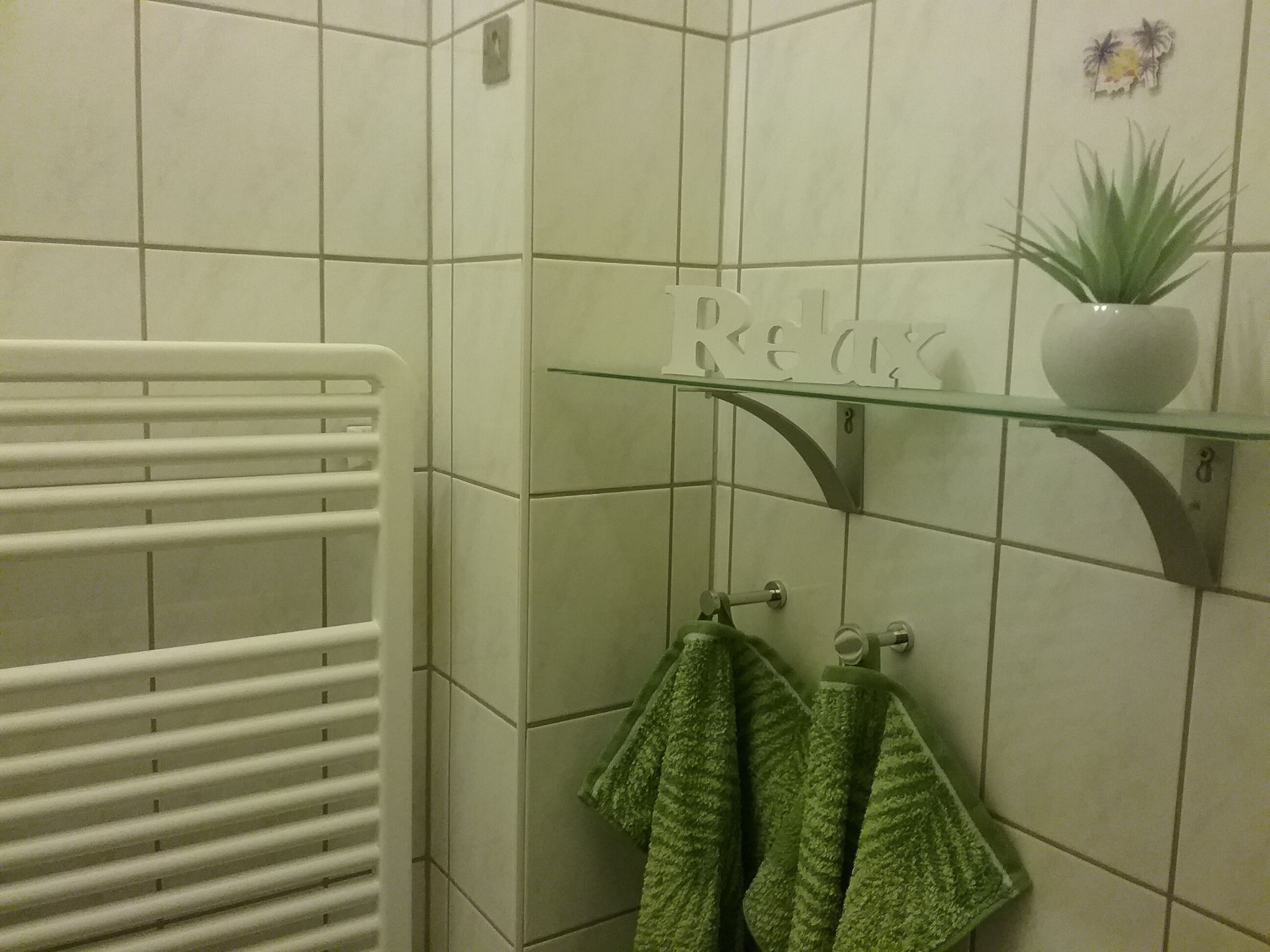 Un baño con un estante de vidrio que sostiene una planta en maceta y un perchero con dos toallas.