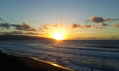 quiet secluded location, yet central, the perfect family vacation