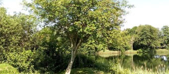 Hus Nenndorf för 8 - 17 personer med 6 sovrum - Fritidshus