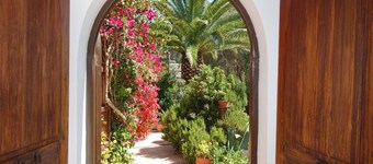 Relaxation in Mediterranean garden landscape at the large private pool