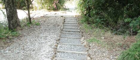 A gravel path with steps leading through a wooded area.