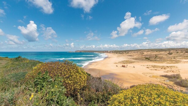 A coastal landscape with a sandy beach, ocean waves, and sparse vegetation.