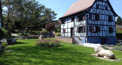 GĂźte confortable Sud Alsace proche des frontiĂšres suisses et allemandes