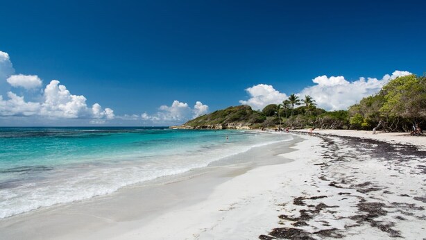 Beach - Studio Oncle Sam: pool and beach access. Ideal for vacations or weekends for two (Le Gosier)