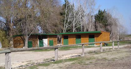 GĂźte pour 2/3 personnes avec jaccuzi en Camargue au bord du Petit RhĂŽne