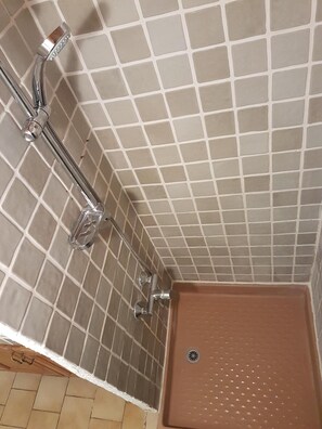 Shower, towels, toilet paper