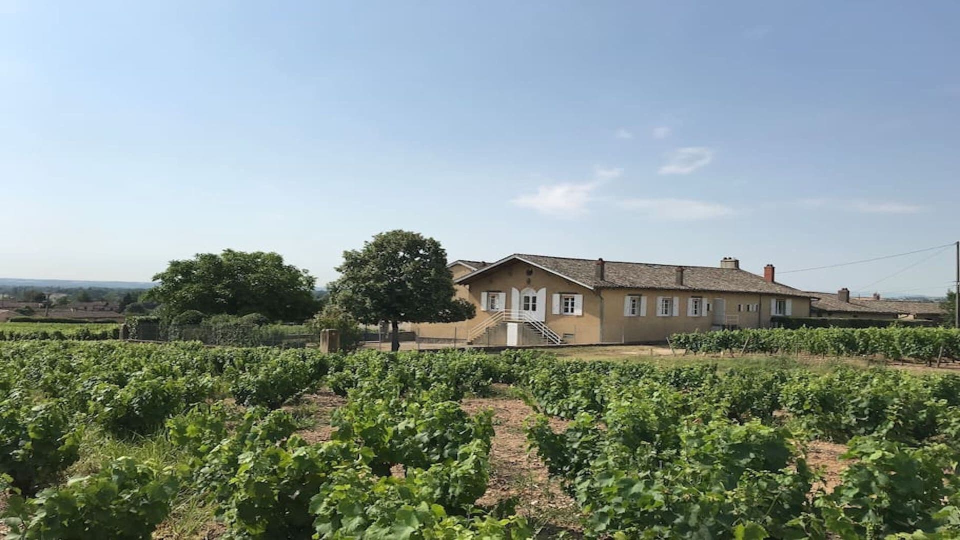 Haut oak cottage in the heart of the Beaujolais vineyard