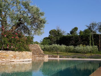 Jardin, oliveraie et piscine