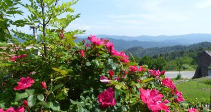 VACANCES EN CEVENNES
