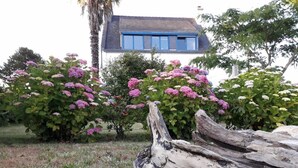 Une maison avec un cadre de fenêtre bleu, entourée de buissons d’hortensias roses.