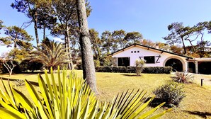 Einbungalow mit Garage, umgeben von einem gepflegten Rasen und verschiedenen Bäumen.