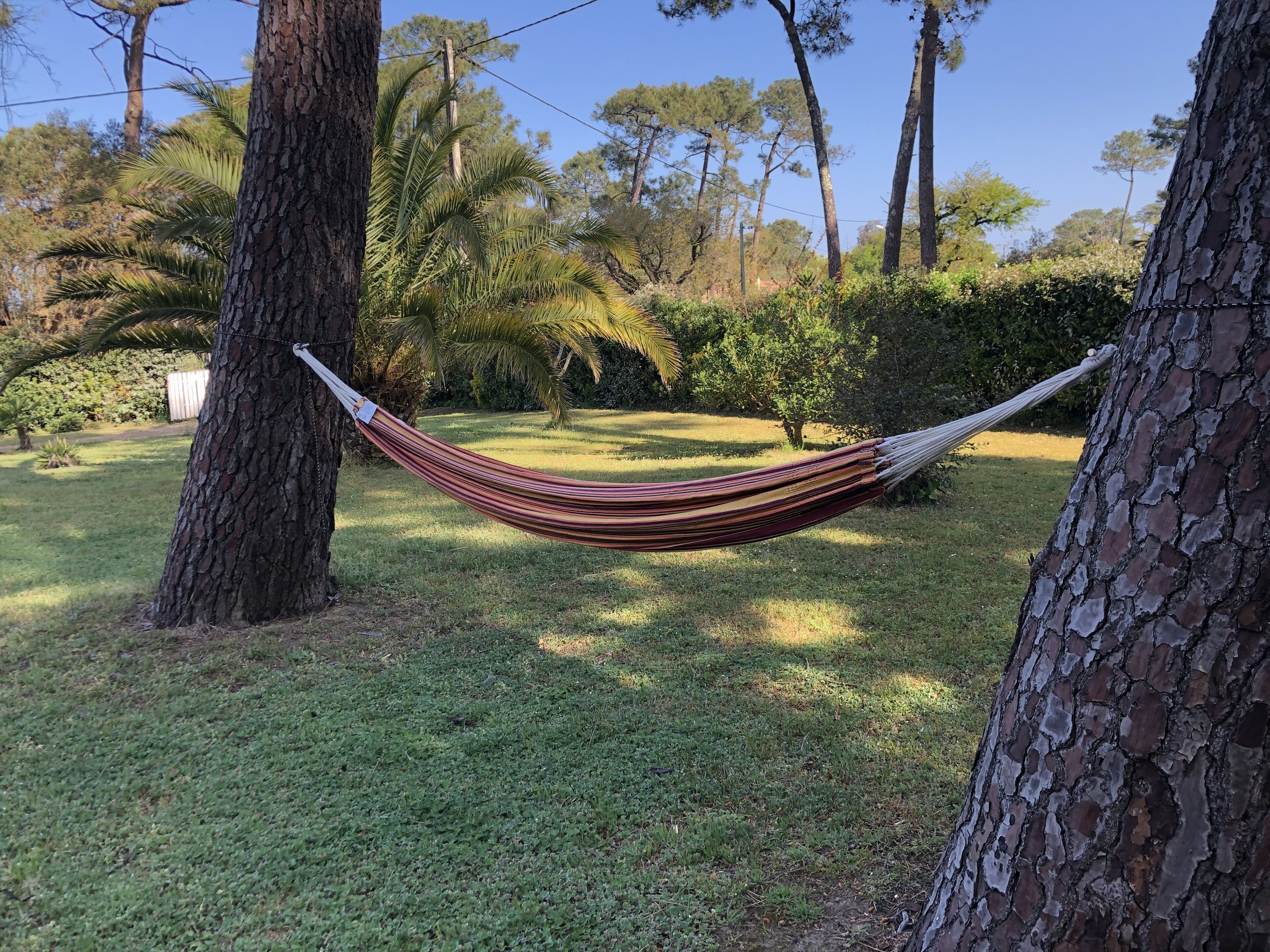 Un hamac tendu entre deux arbres, dans un espace extérieur verdoyant, sous un ciel dégagé.