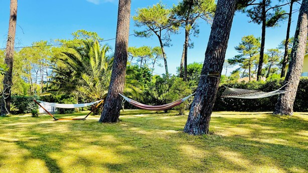 Una hamaca entre árboles en una zona con césped y cielo despejado.