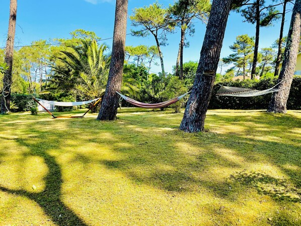 A hammock between trees in a grassy area with a clear sky. - Villa Dune & Ocean 100 m from the beach (Labenne)