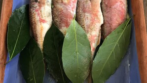 Eine blaue Keramikschale mit vier Fischen, jeder garniert mit Lorbeerblättern, auf einer Holztischplatte.