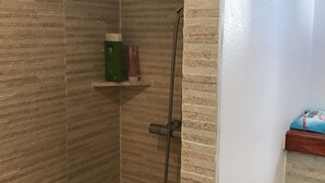 Eine Dusche mit Handbrause und Wandarmatur.