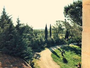 Property grounds - Authentic 18th century farmhouse (Marguerittes)