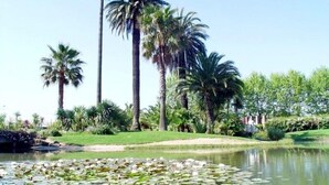 Un jardin paisible, avec de grands palmiers, un étang parsemé de nénuphars et une pelouse bien entretenue.