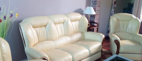 Télévision, cheminée, livres, médiathèque