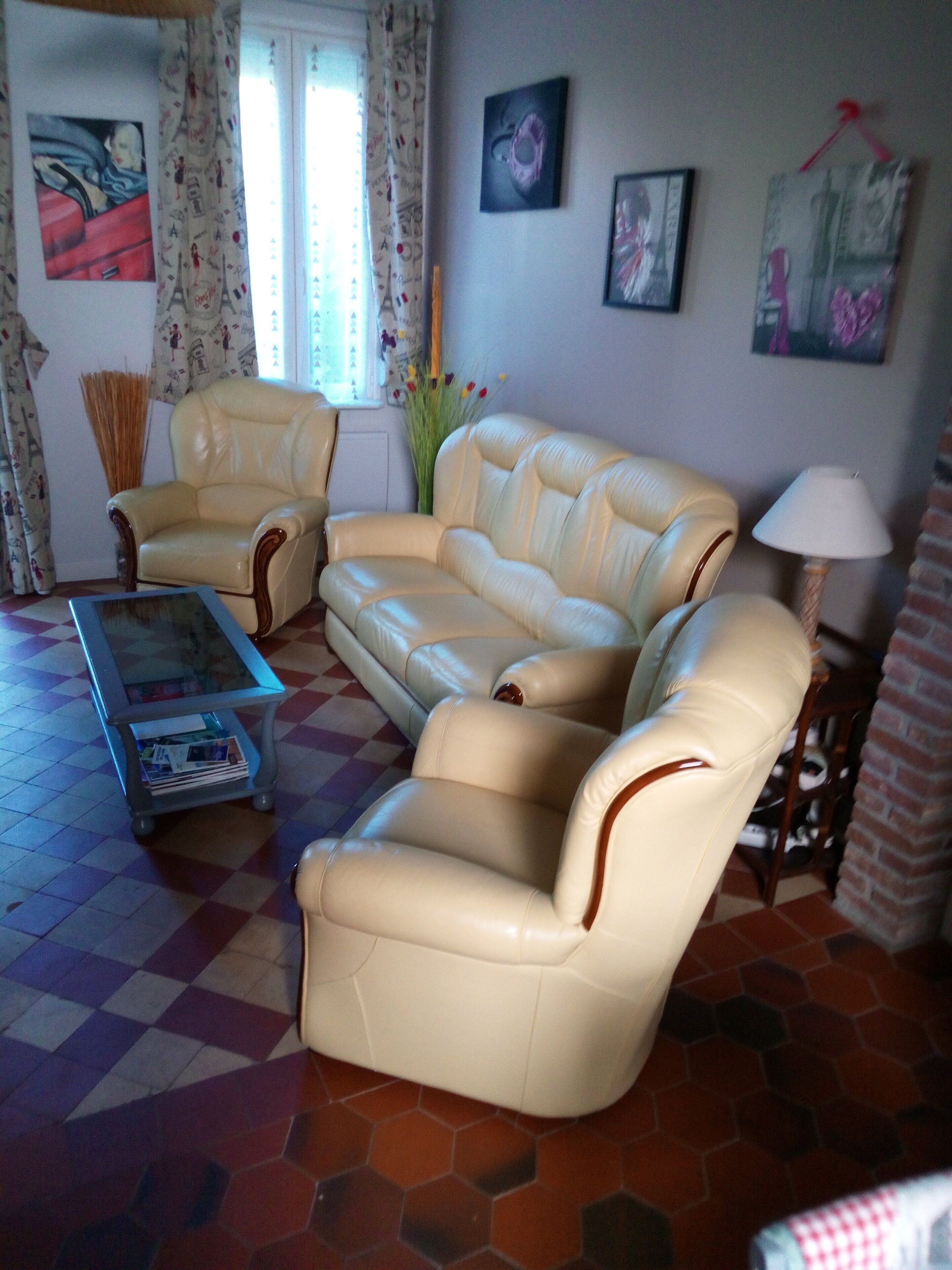 Télévision, cheminée, livres, médiathèque