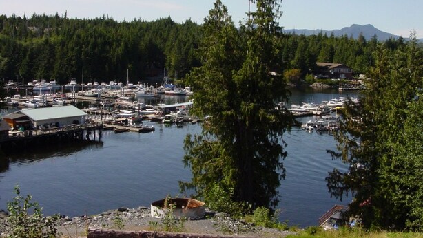 A marina with boats docked, surrounded by dense forest and a mountain in the background.
