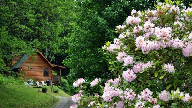 Property grounds - Deer Country Vacation Cabins #4 - Long Range View, Dogs Friendly (Waynesville)