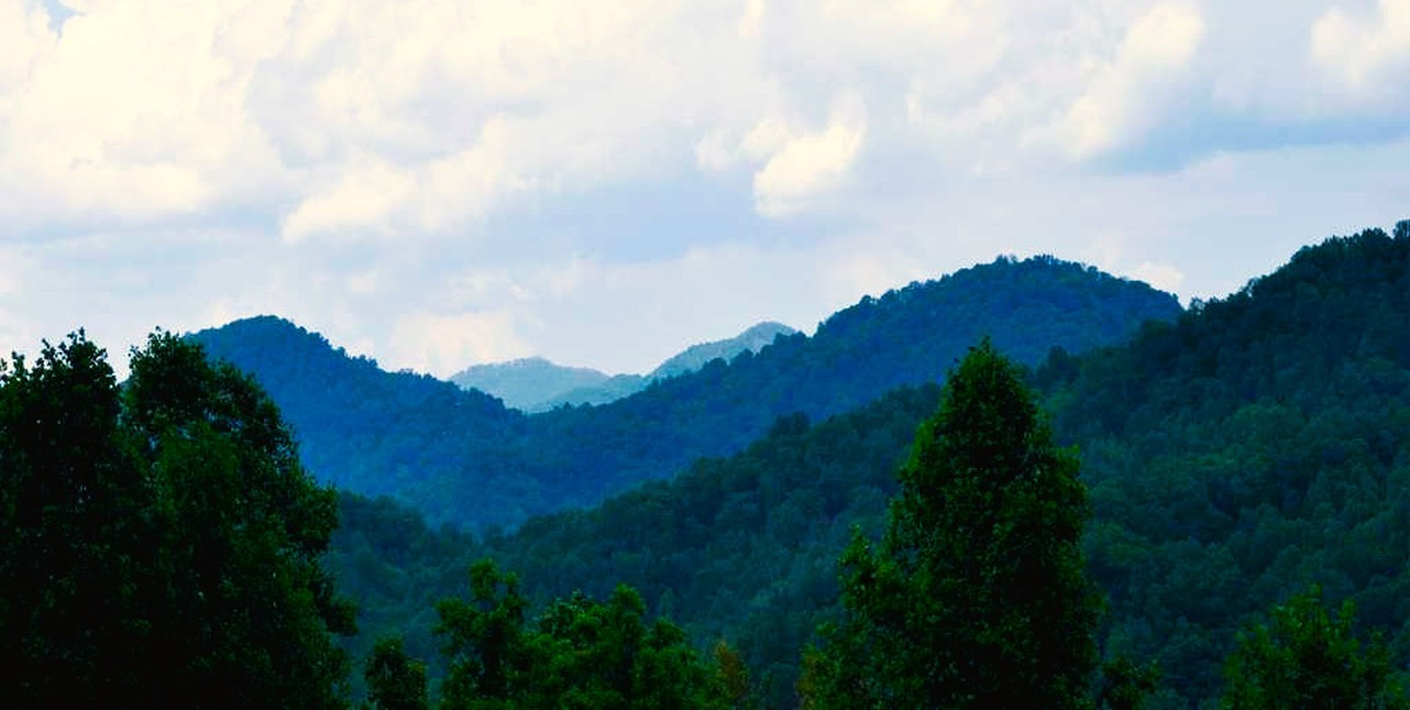 A mountainous landscape with dense forest coverage.
