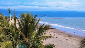 Une plage bordée de palmiers, avec des gens et une vue sur l’océan et les montagnes.
