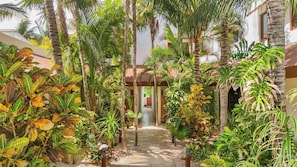 Un sendero en un jardín tropical que conduce a la entrada de un edificio.