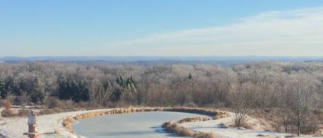 Une vue panoramique d’un paysage enneigé avec un lac gelé, entouré d’une forêt dense et sous un ciel dégagé.