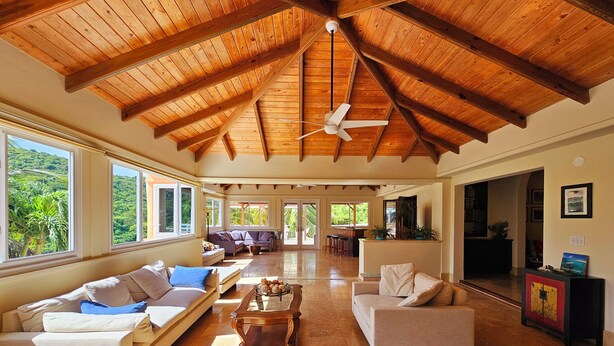 A spacious living area with a high wooden ceiling, large windows, and a ceiling fan. - Beautiful Tropical Island Villa for big families and groups (Frederiksted)
