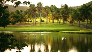 A golf course with a pond, palm trees, and a flag on the green. - Beautiful Tropical Island Villa for big families and groups (Frederiksted)