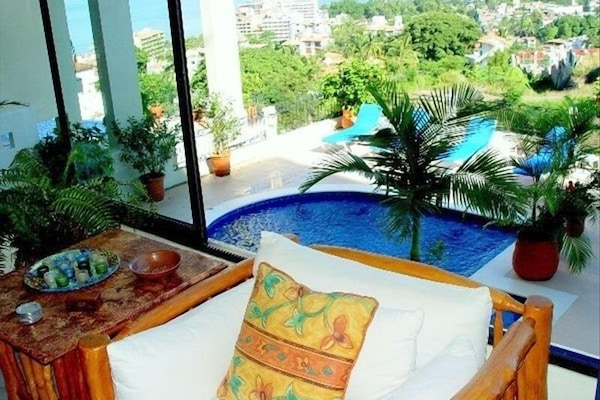 Looking out living room window