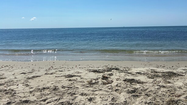 A beach with sand, seaweed, and a clear sky. - Walk to private beach, central air, wifi, 3 bedrooms. (Chatham)
