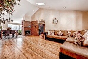 TV, fireplace, books, video library