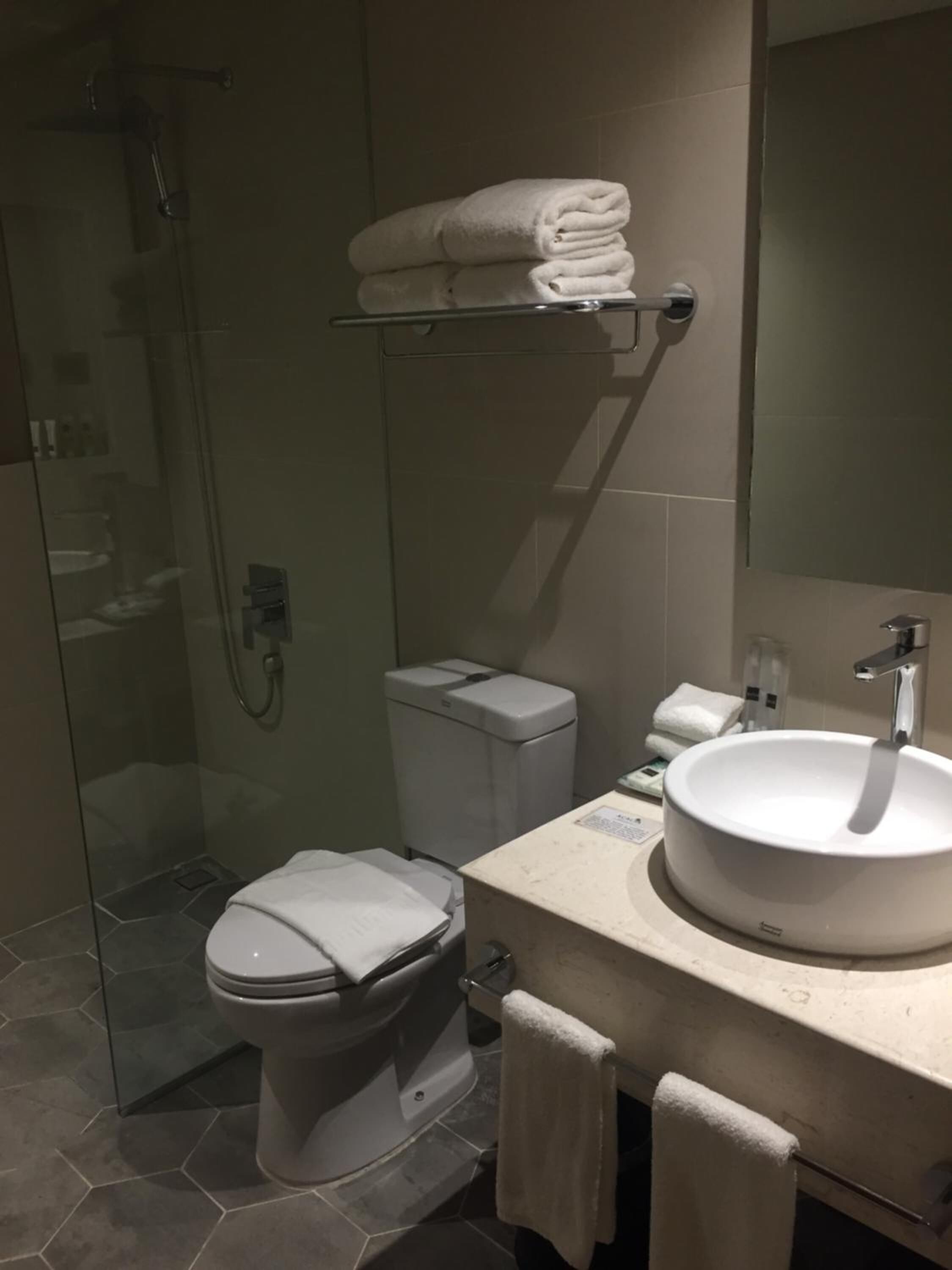 A modern bathroom with a glass-enclosed shower, a toilet, a sink, and a towel rack.