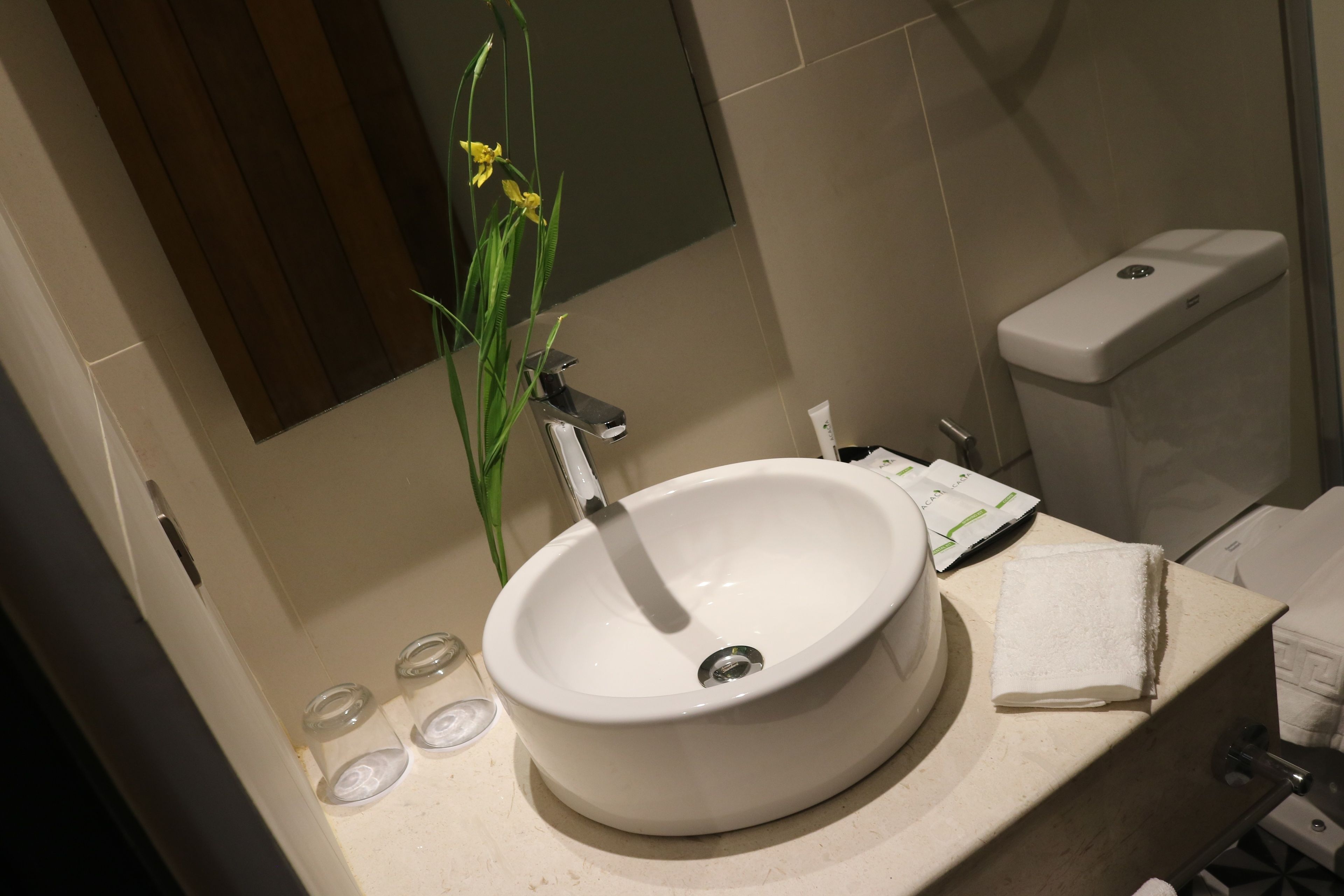 A bathroom with a white sink, a mirror, a toilet, and a plant.