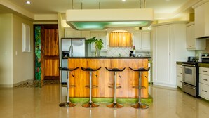 A modern kitchen with a central island, bar stools, stainless steel appliances, and a decorative plant. - LARGE BEAUTIFUL CONDO SUITE 2B/2B IN LAKE ARENAL (Tilaran)