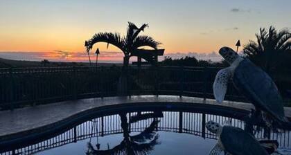 Discovery Harbor - 3/2 - uima-allas