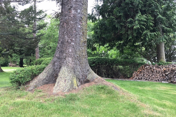 Áreas de la propiedad