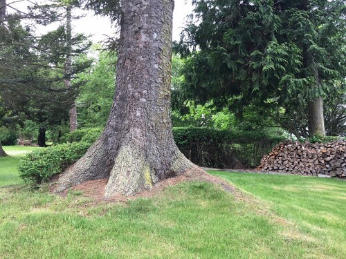 Water View Home, and private beach access, Quiet with Nature trails