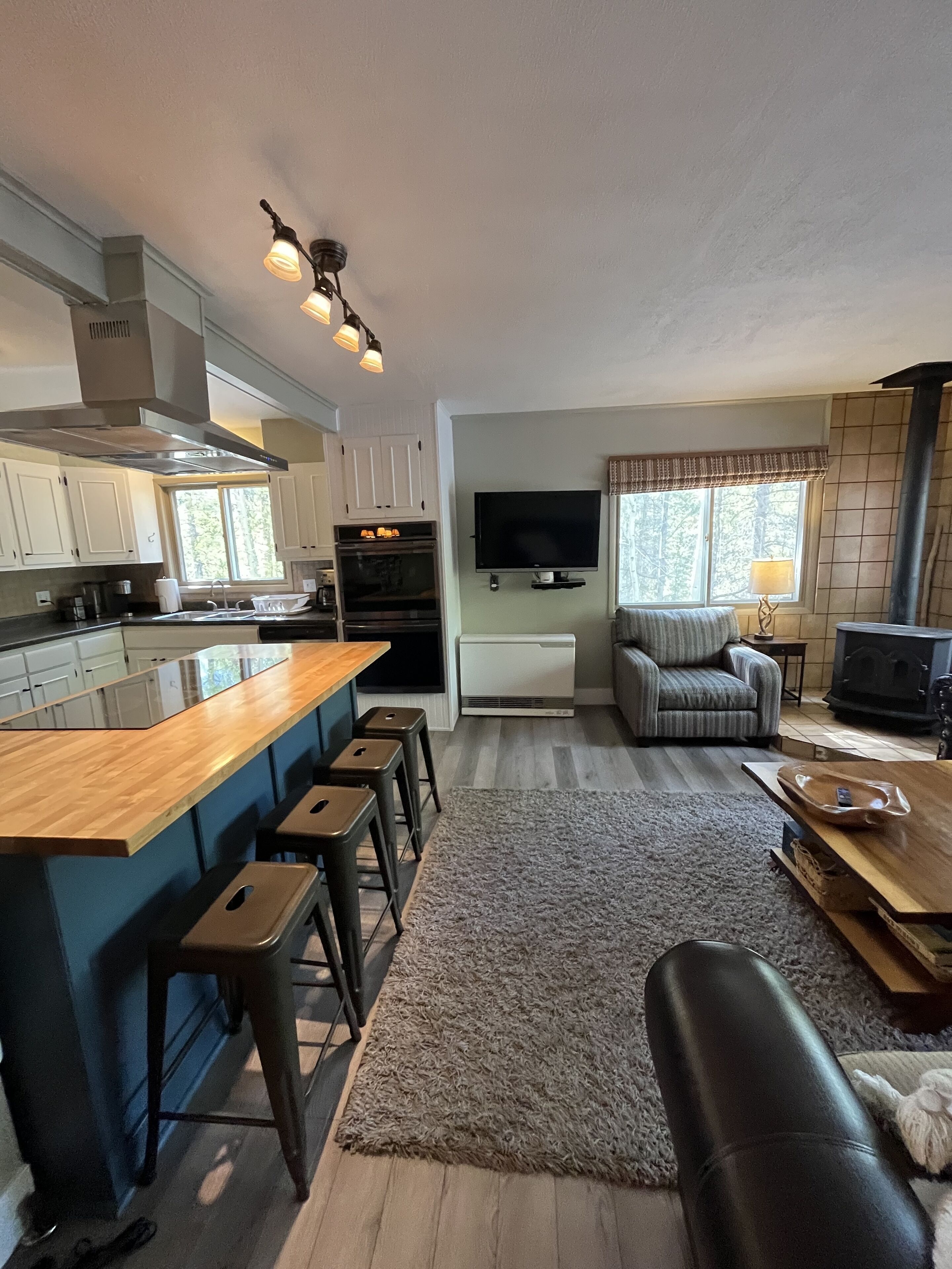 Cozy Mtn Home Leadville -  STR #  2023-010 - No Pets Allowed!   