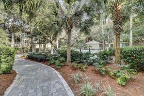 A paved pathway leading to a pool area surrounded by lush greenery and palm trees.