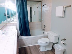 Combined shower/tub, hair dryer