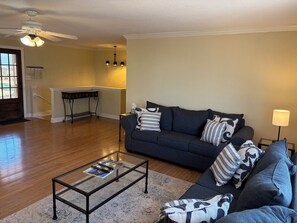 TV, fireplace - Deep Water // Lake Front- Mid lake near Port Royale Marina/Pelican Pete's  (Gainesville)