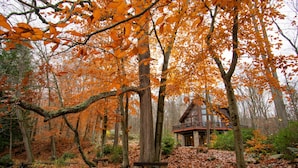 A cabin surrounded by trees with autumn leaves. - Stream Front Log Home near 7 Springs, 4 BR (Rockwood)