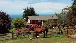 Un caballo en un área cercada, con una casa roja y vista al océano de fondo.