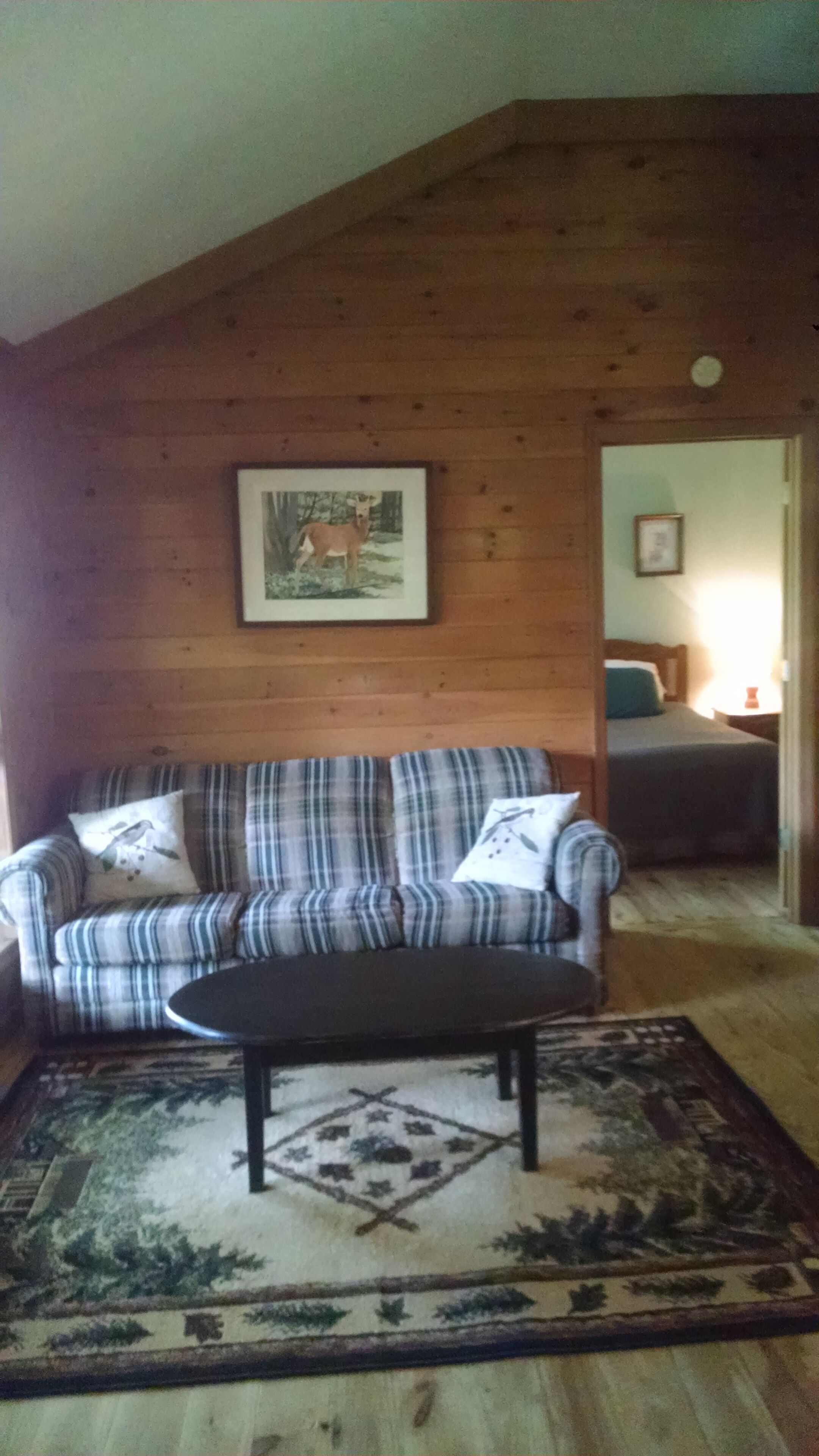 Close to Vogel State Park, Helen 25 mi, Dahlonega 22 miles