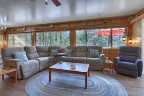 TV, fireplace, books