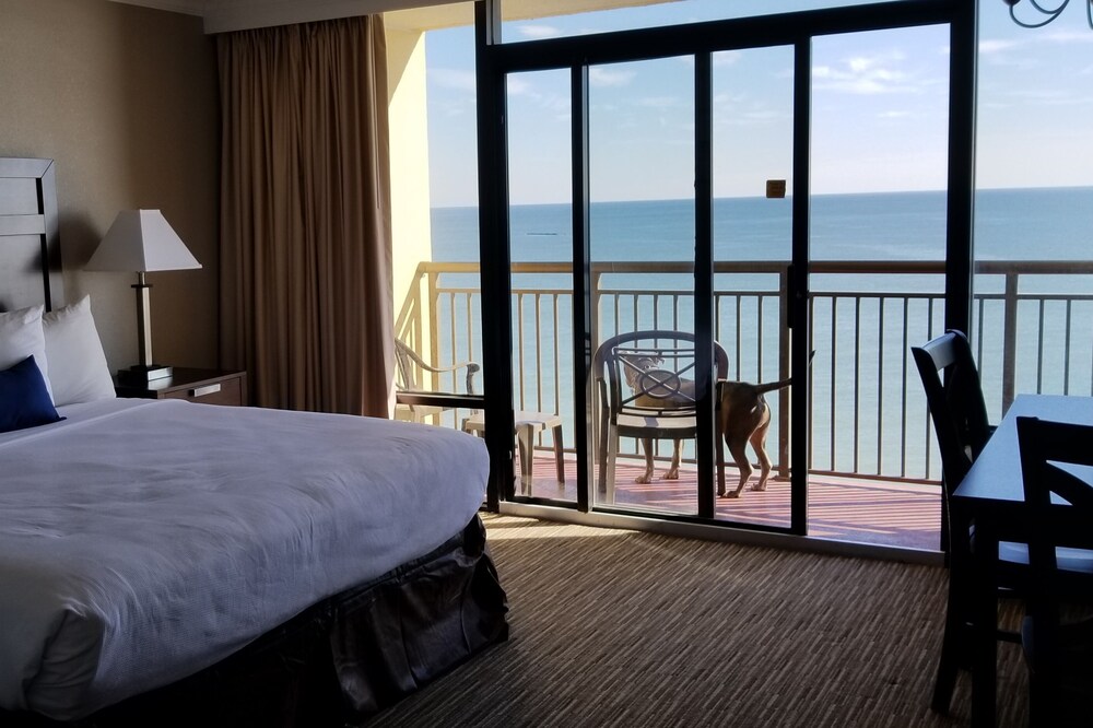 OCEANFRONT ! OCEANFRONT ! STUDIO APT W/ TERRACE, ROMANTIC GETAWAY !! KING BED!!